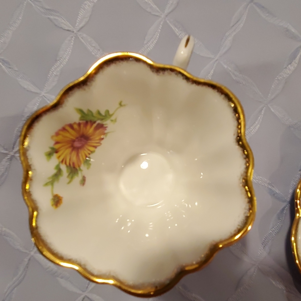 **HP**ROSINA Teacup & Saucer #5399 Daisy - Picture 4 of 8